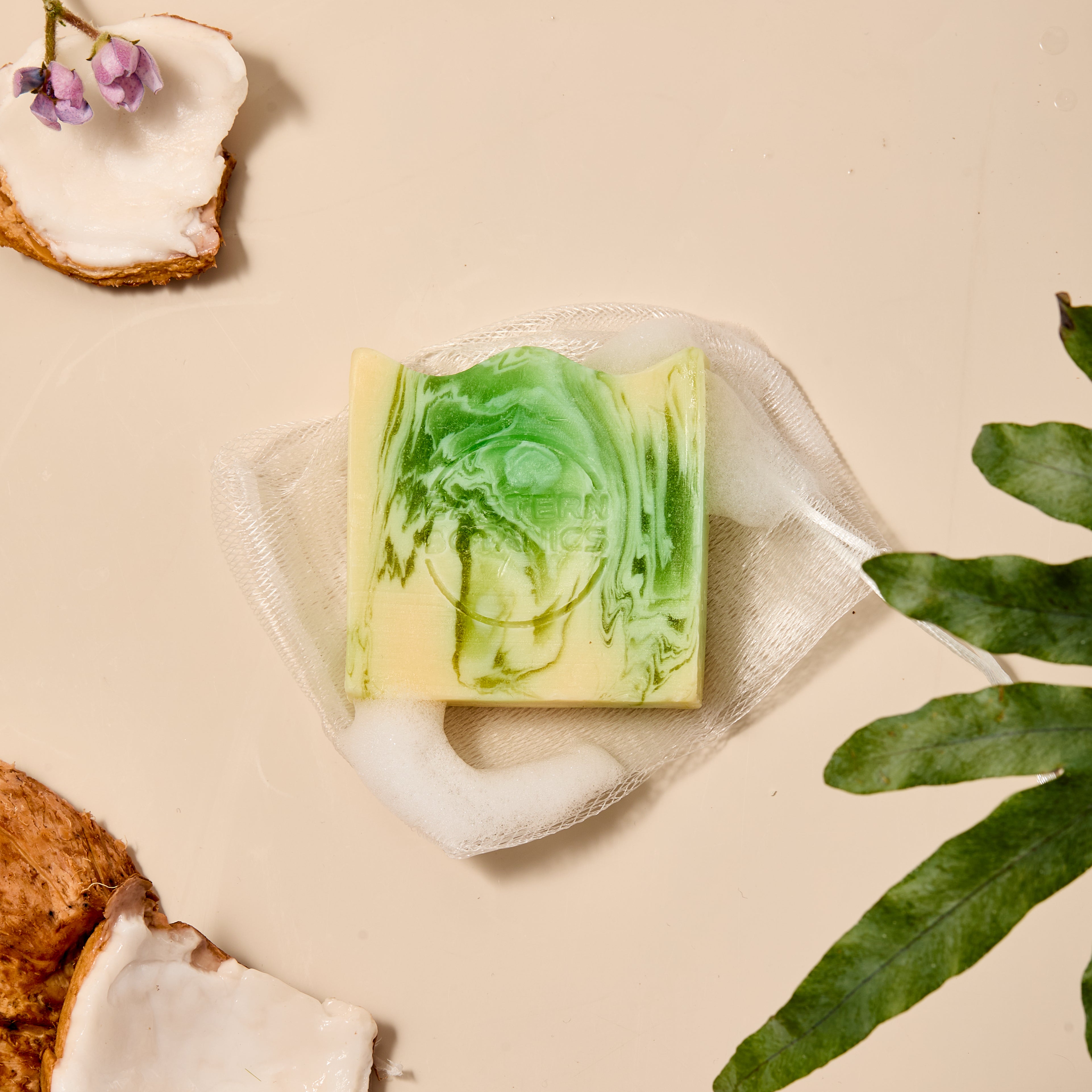 Coconut Green Tea Body Soap